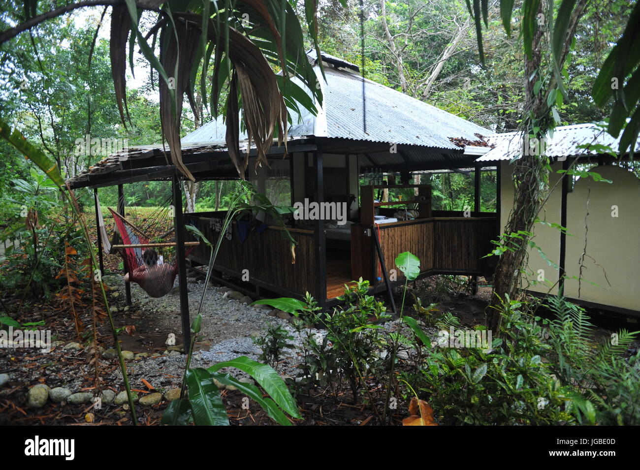 Jungle de base maison à louer à Puntarenas, Costa Rica Banque D'Images