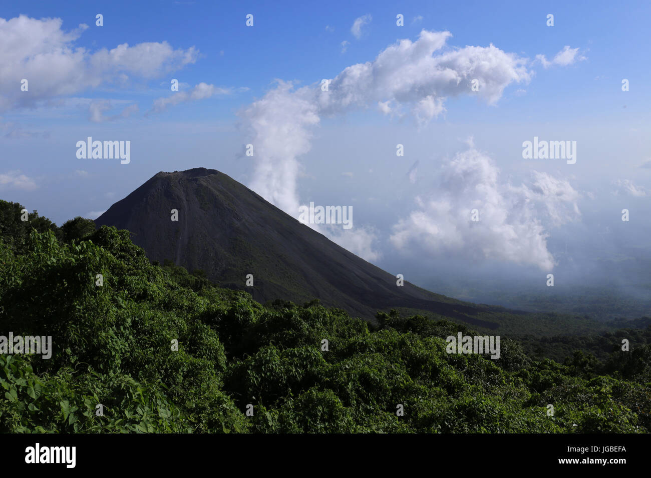 Volcan Izalco, vu de l'un des points de vue dans la région de Cerro Verde National Park près de Santa Ana, El Salvador Banque D'Images