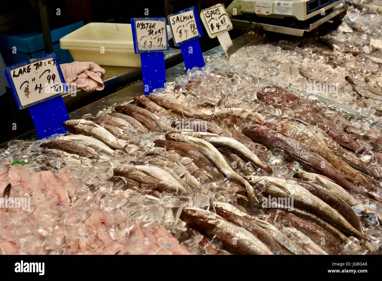 Poisson frais au marché de fruits de mer Banque D'Images