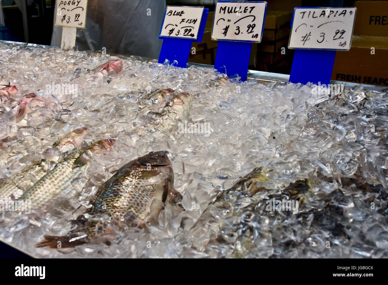 Poisson frais au marché de fruits de mer Banque D'Images