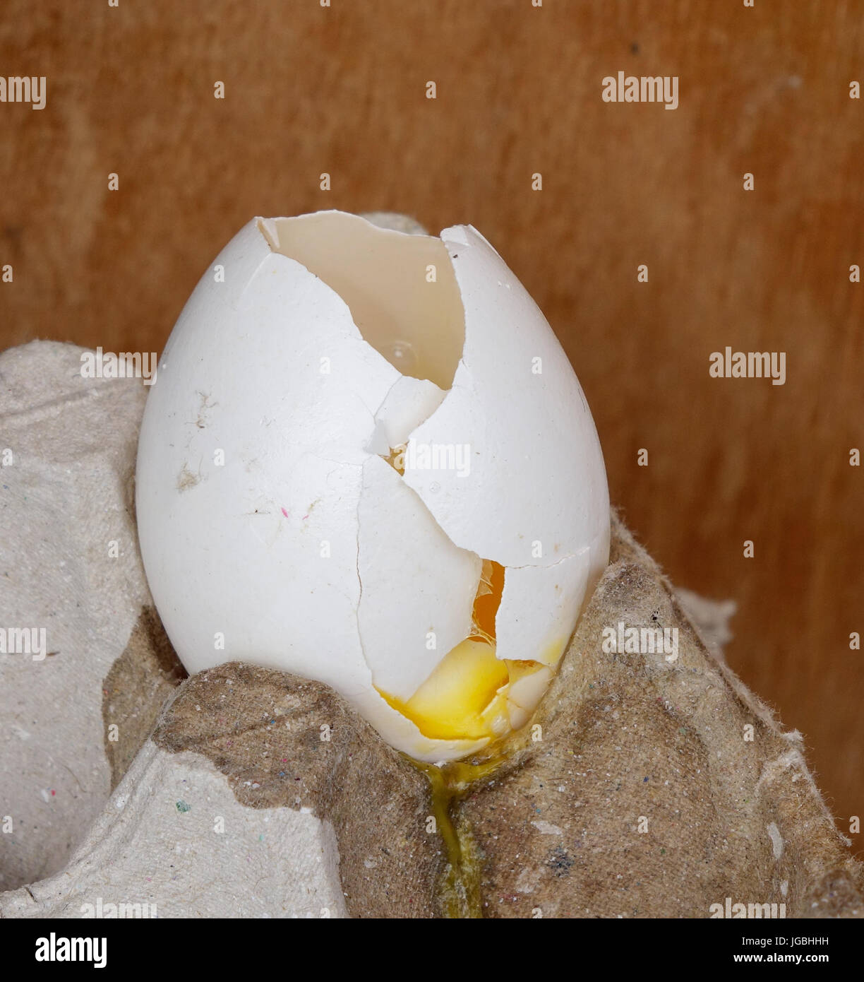 Un oeuf blanc fissuré avec une enveloppe de l'oeuf, le jaune d'œuf et le  blanc d'oeuf Photo Stock - Alamy