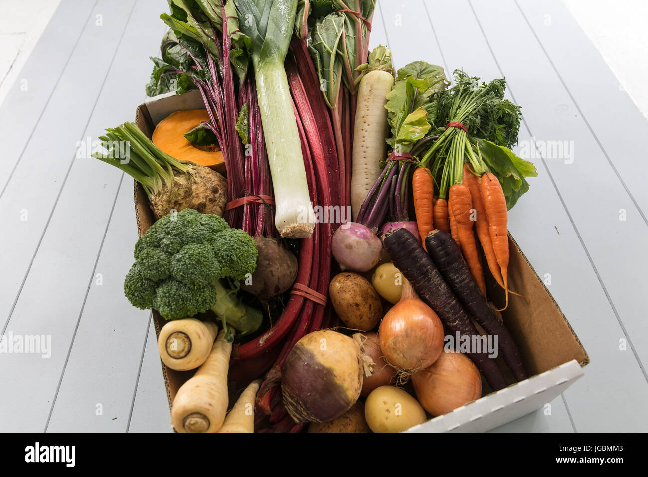 Une sélection de légumes dans une boîte sur un fond gris woodend Banque D'Images