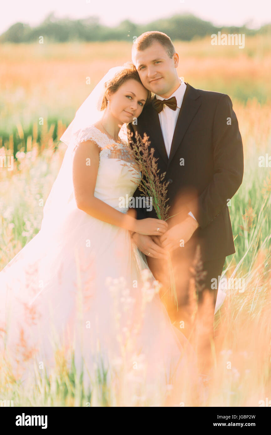 La belle mariée est appuyée sur l'épaule de l'époux dans le champ de blé. Banque D'Images