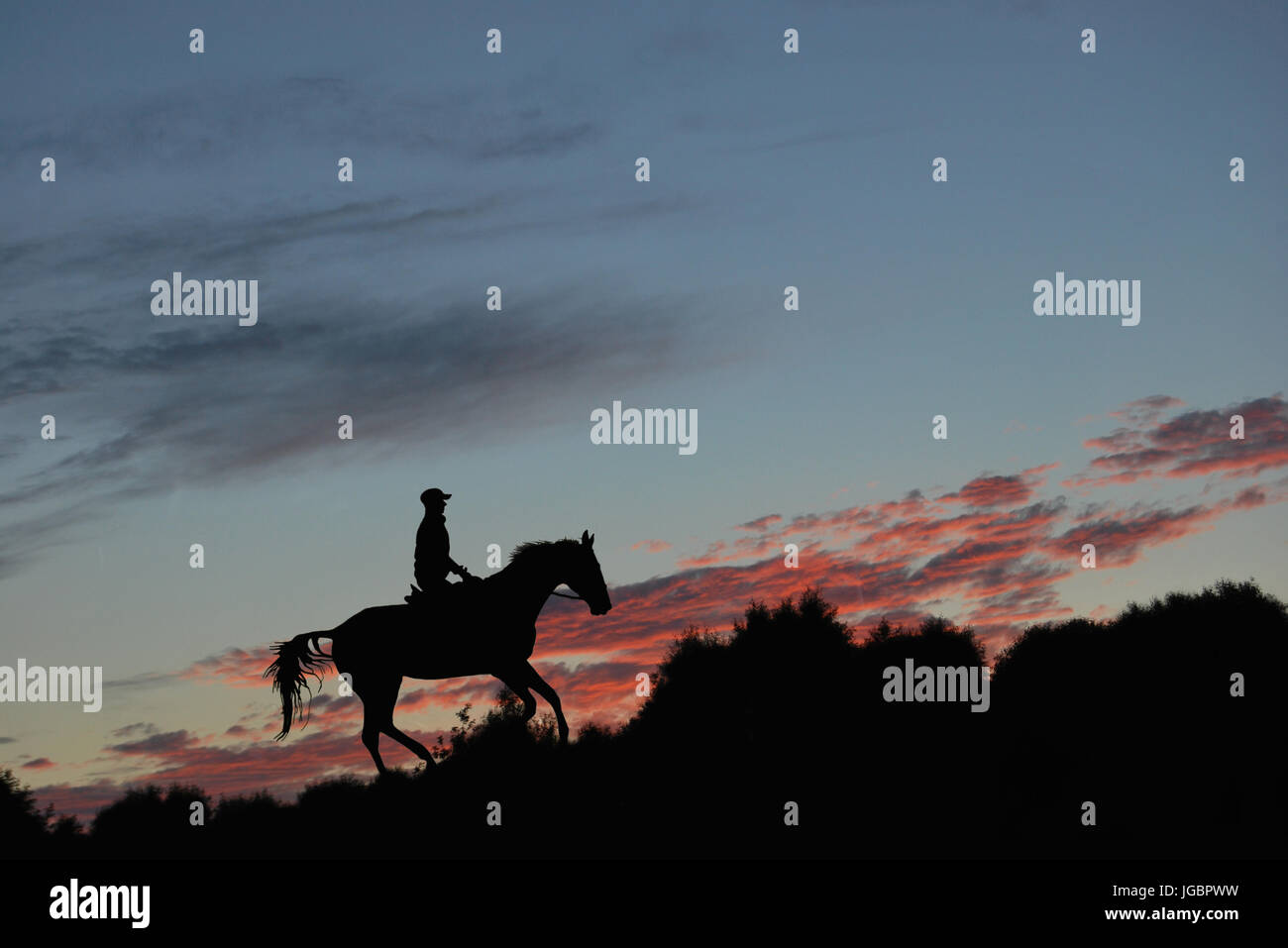 Silhouette d'un cavalier sur un cheval sur un fond coucher de soleil rouge Banque D'Images