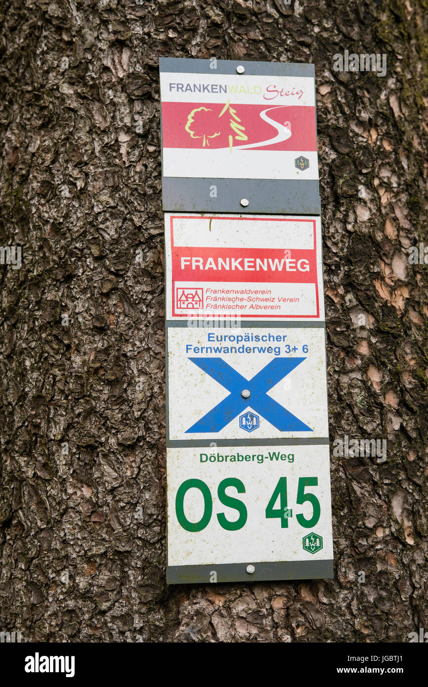 Sentier de randonnée pédestre inscriptions sur tronc d'arbre, Döbraberg près de Schwarzenbach am Wald, la forêt de Franconie, Haute-Franconie, Franconia Banque D'Images