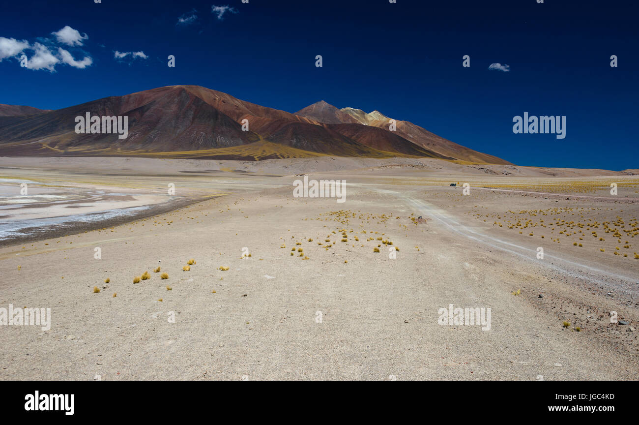 Désert d'Atacama, Chili Banque D'Images