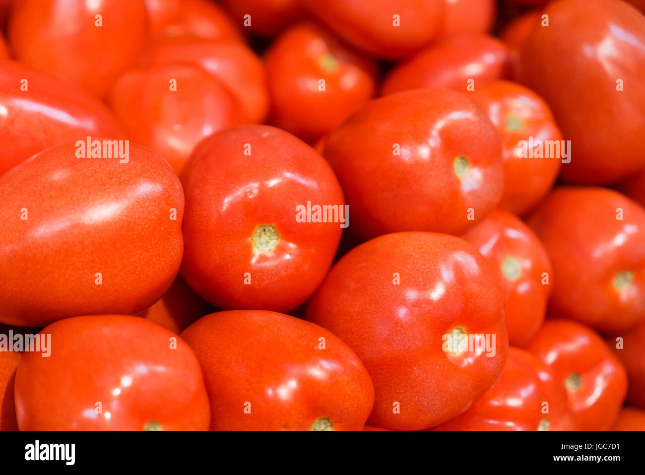 Tomates roma fraîches au farmer's market Banque D'Images