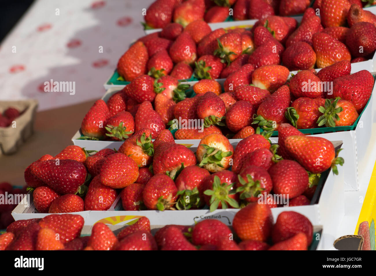 Paniers de produits frais, fraises rouge à un marché de producteurs. Banque D'Images