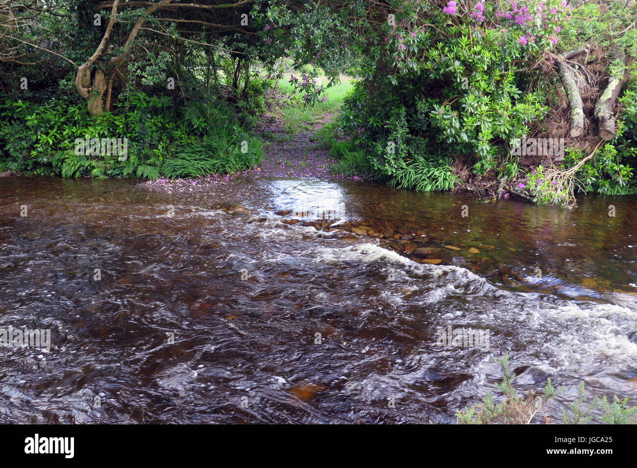 Cork, Irlande Banque D'Images Cork, Irlande Banque D'Images