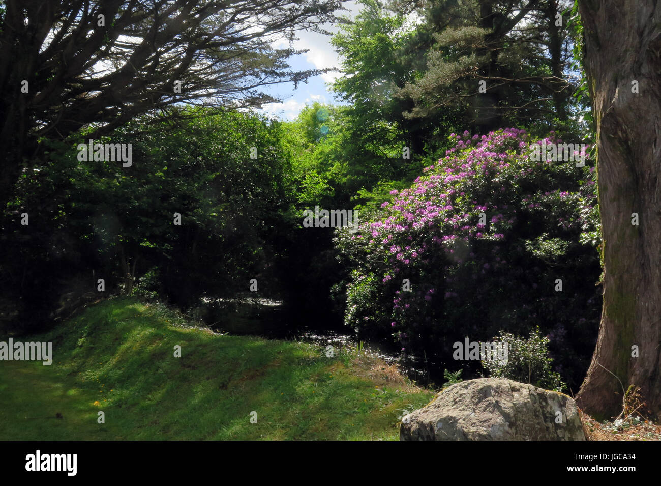 Cork, Irlande Banque D'Images Cork, Irlande Banque D'Images