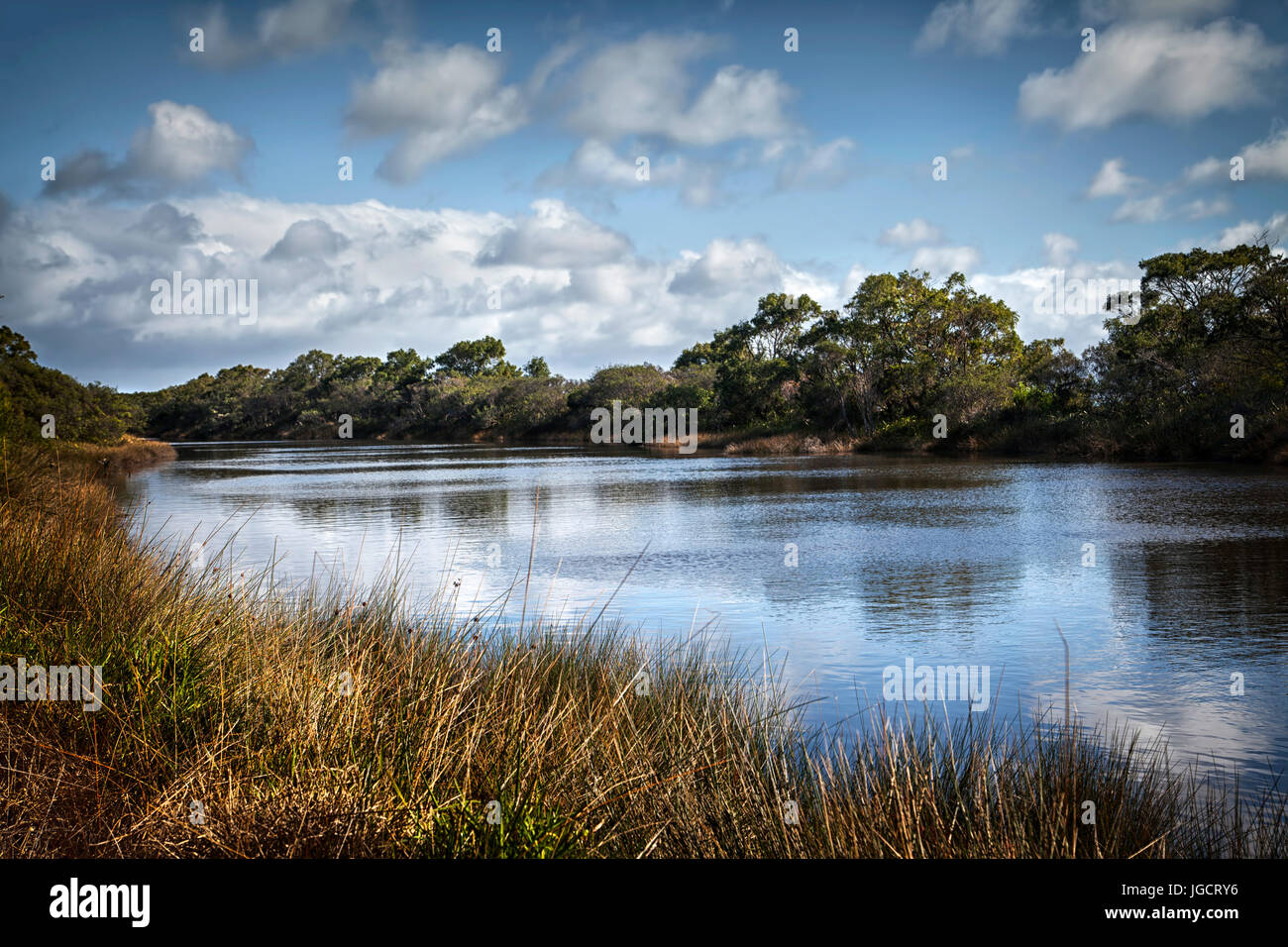 Lak, South Perth, Western Australia, Australia Banque D'Images