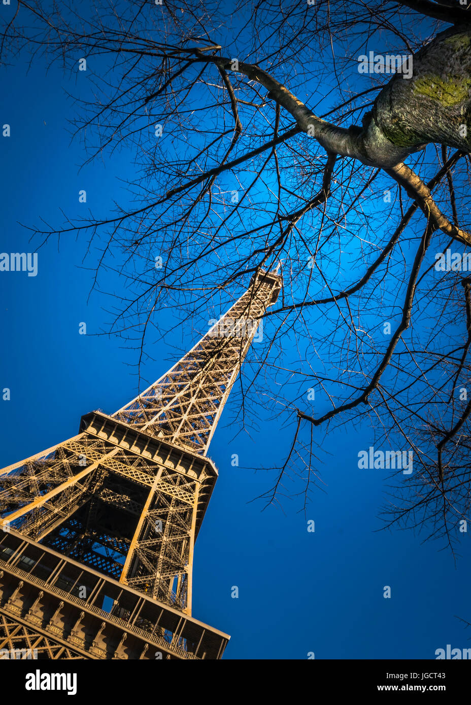 Low angle view of la Tour Eiffel à travers les arbres, Paris, France Banque D'Images