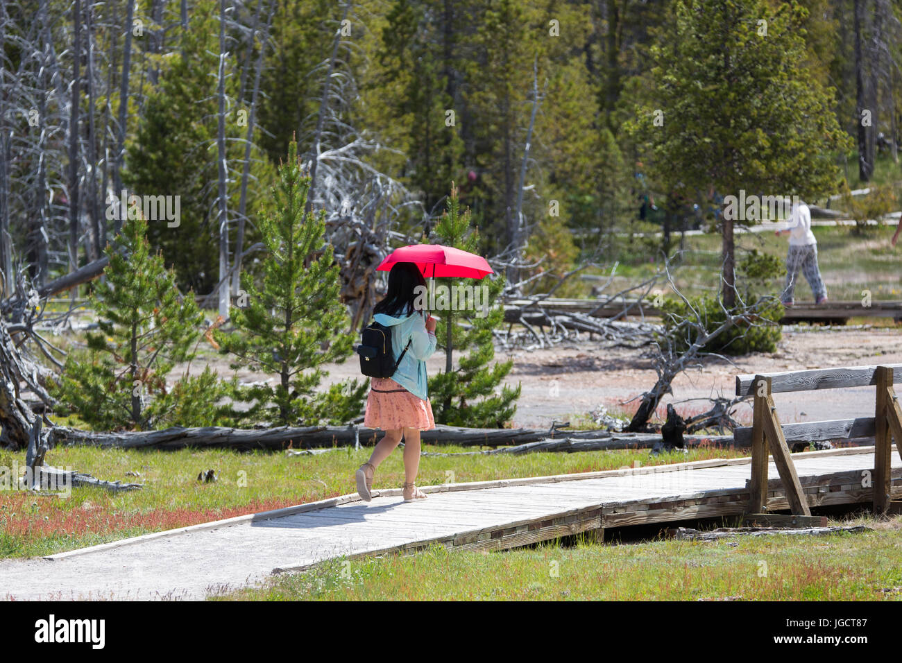 Une jeune femme asiatique portant un parapluie rouge contre le soleil en marchant sur les trottoirs près de Paintpots Artistes dans le Parc National de Yellowstone Banque D'Images