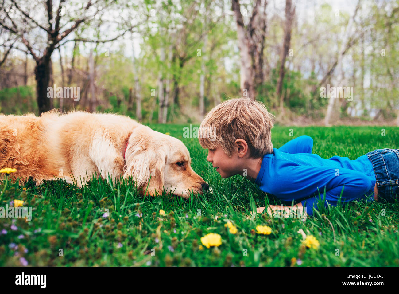 Garçon et son chien d'or retriever allongé sur l'herbe regardant l'un l'autre, USA Banque D'Images