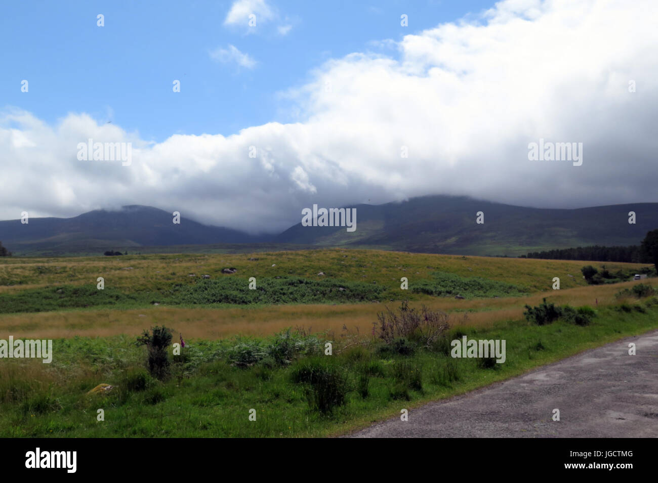 Le Parc National de Killarney, Irlande, IE Banque D'Images