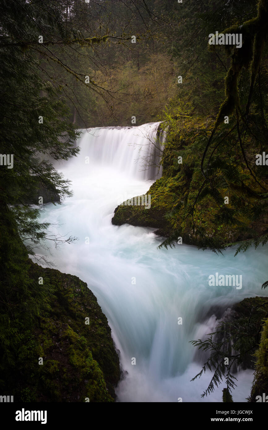 Spirit of falls on White Salmon River, Washington, l'Amérique, USA Banque D'Images