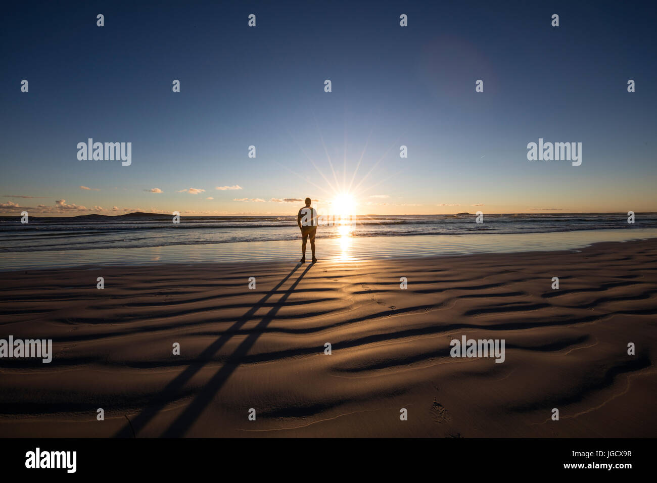 Homme debout sur le hêtre à au coucher du soleil, de l'Australie-Occidentale, Australie Banque D'Images