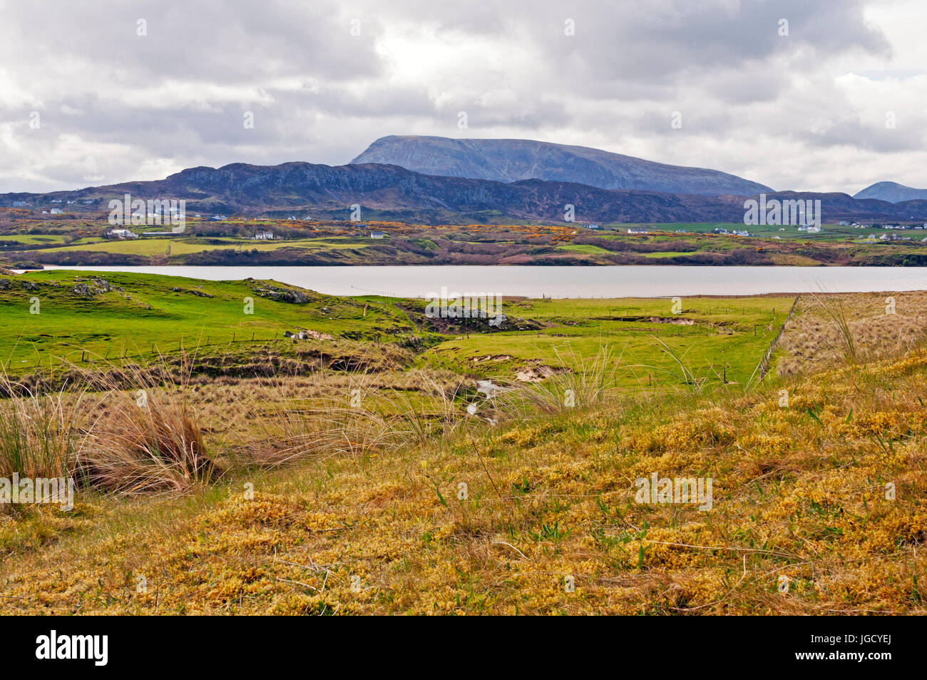 En regardant vers la montagne Muckish, comté de Donegal, Irlande Banque D'Images