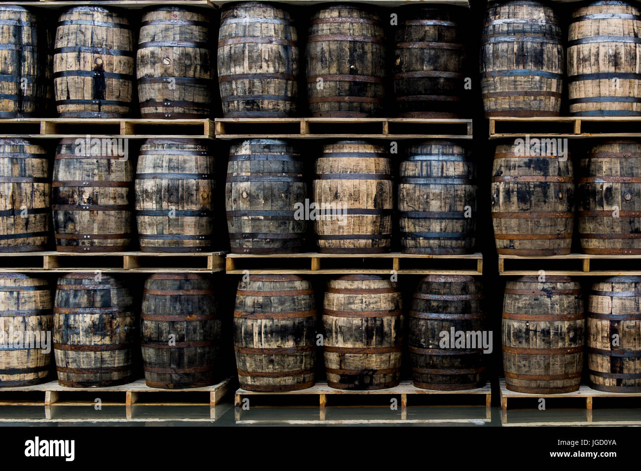 Barils de whisky dans une distillerie de West Cork, Irlande. Banque D'Images