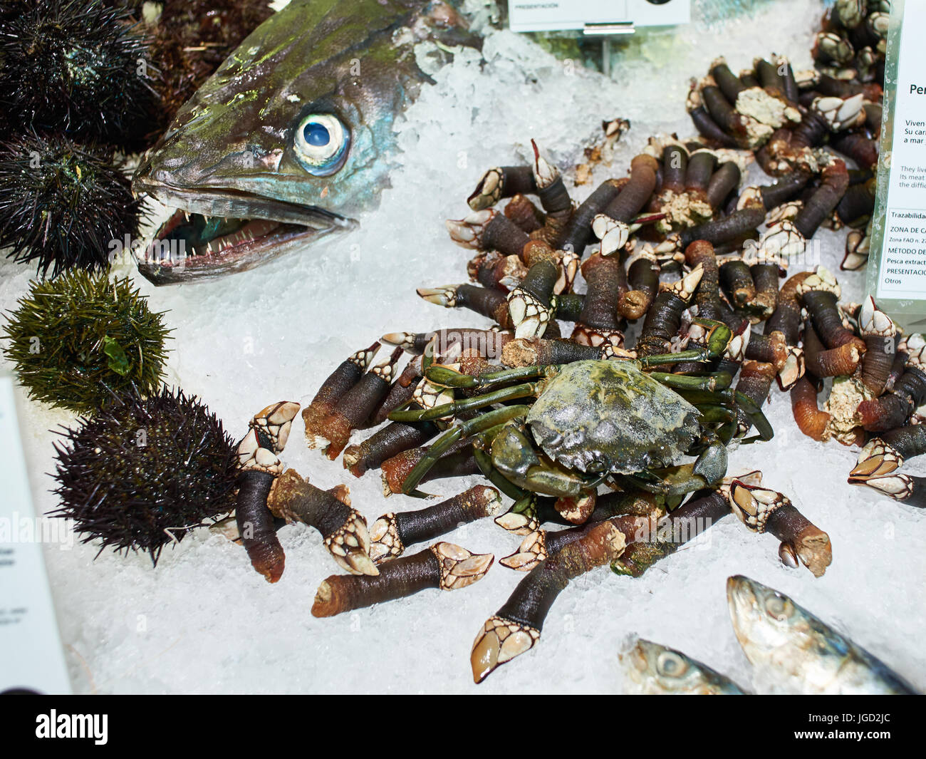 Les poissons, les crabes et les fruits de mer sur les tablettes des magasins Banque D'Images