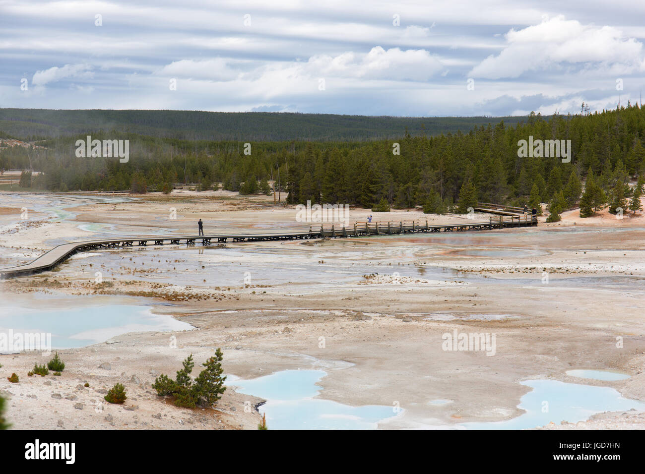 Les gens à prendre des photos de la promenade au sentier du bassin en porcelaine, Norris Geyser Basin, Parc National de Yellowstone Banque D'Images