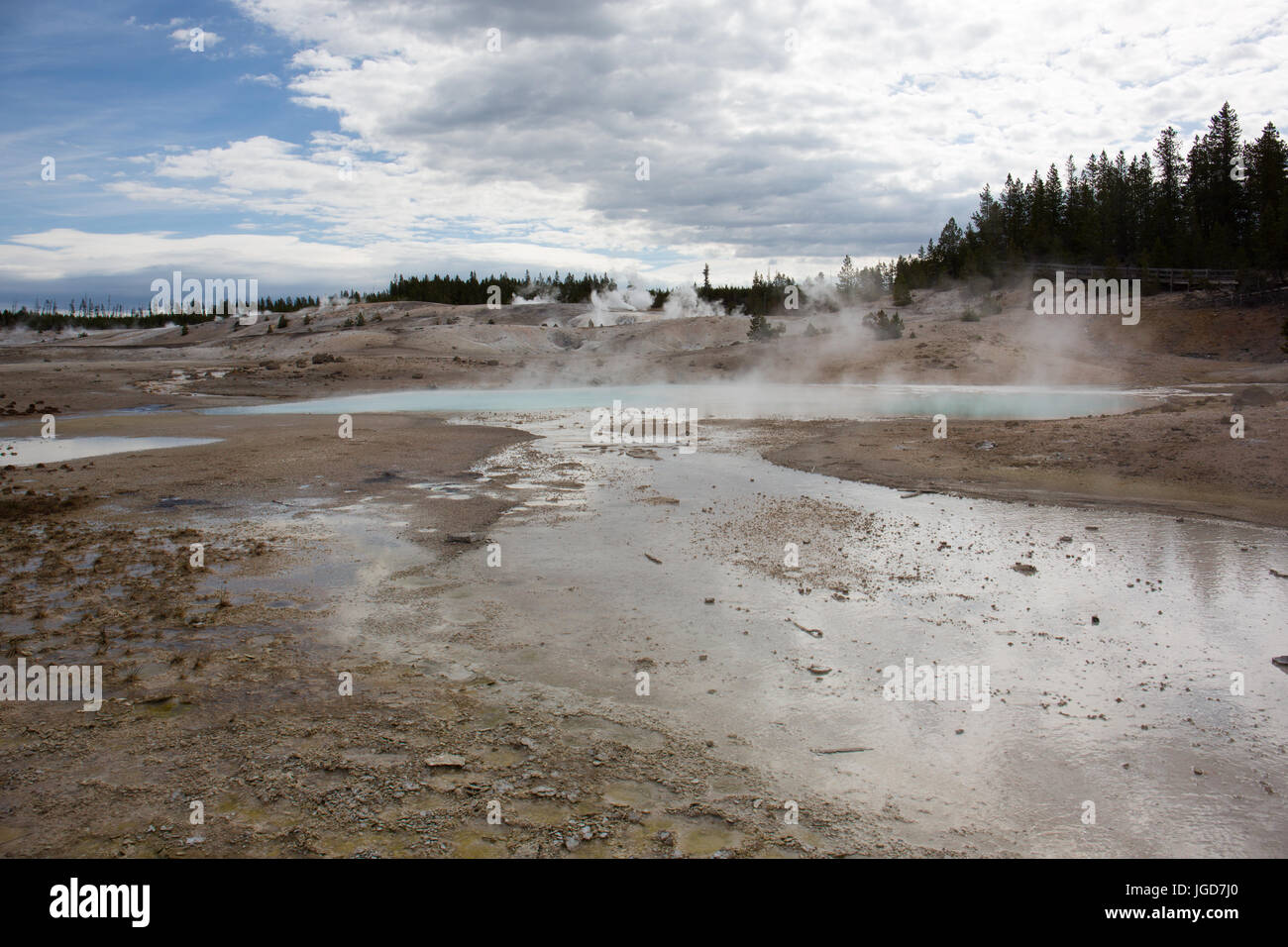 Hot springs dans la porcelaine du bassin à Norris Geyser Basin dans le Parc National de Yellowstone Banque D'Images