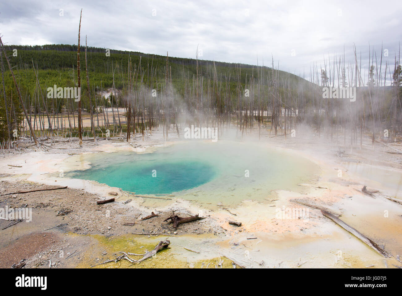 Retour au printemps, citerne, bassin Norris Geyser Basin, Parc National de Yellowstone Banque D'Images