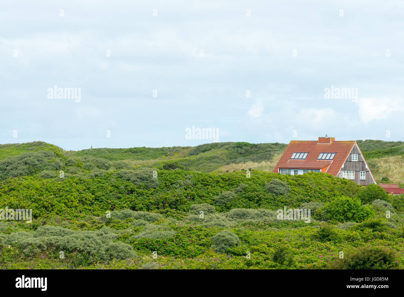 Vue d'une maison dans les dunes du parc national sur l'île de la mer des wadden wangeroog, l'un des sept ilands de Frise orientale, est une belle mer de Wadden Banque D'Images
