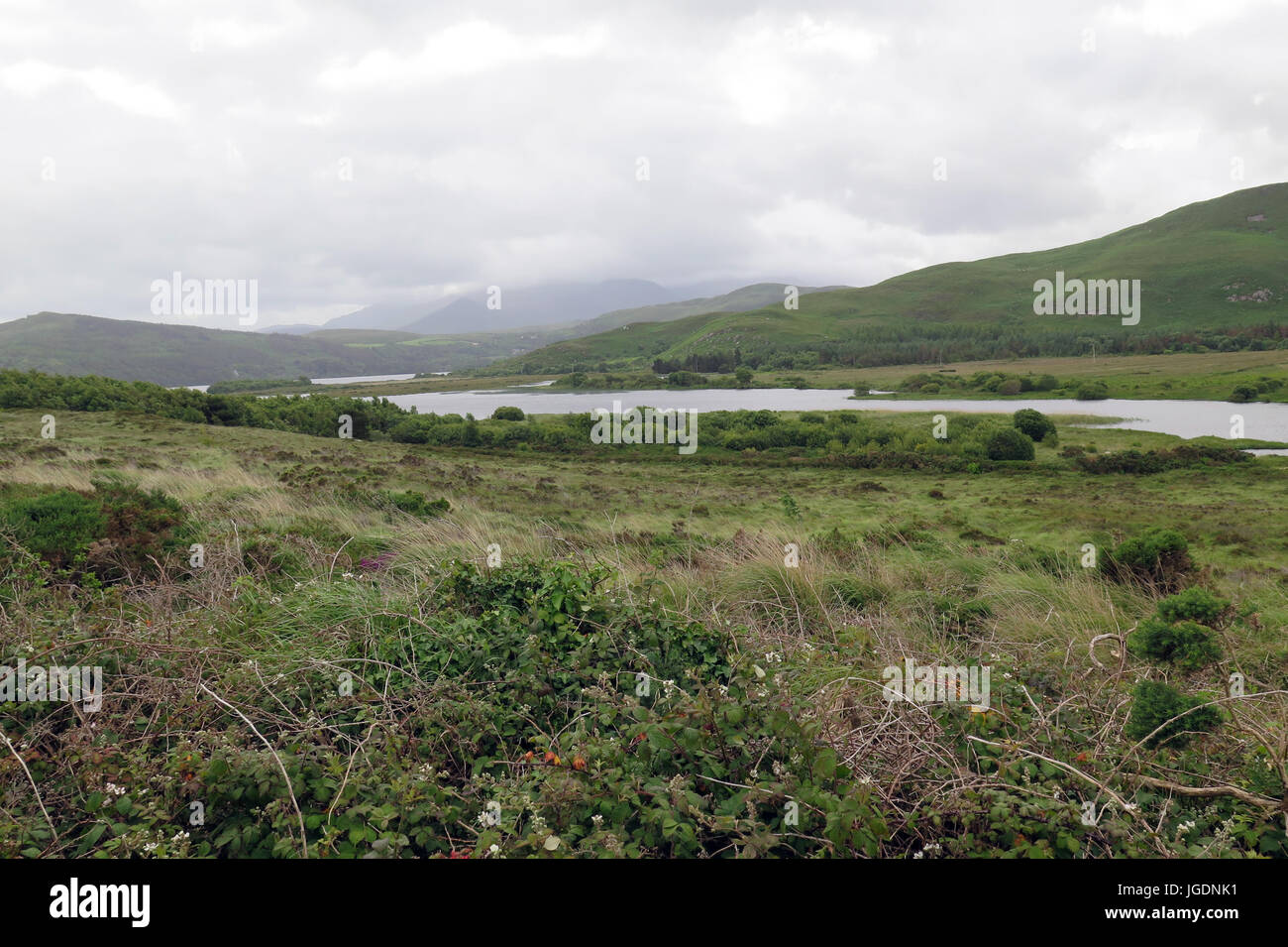 Cromane Beach, Irlande Banque D'Images Cromane Beach, Irlande Banque D'Images