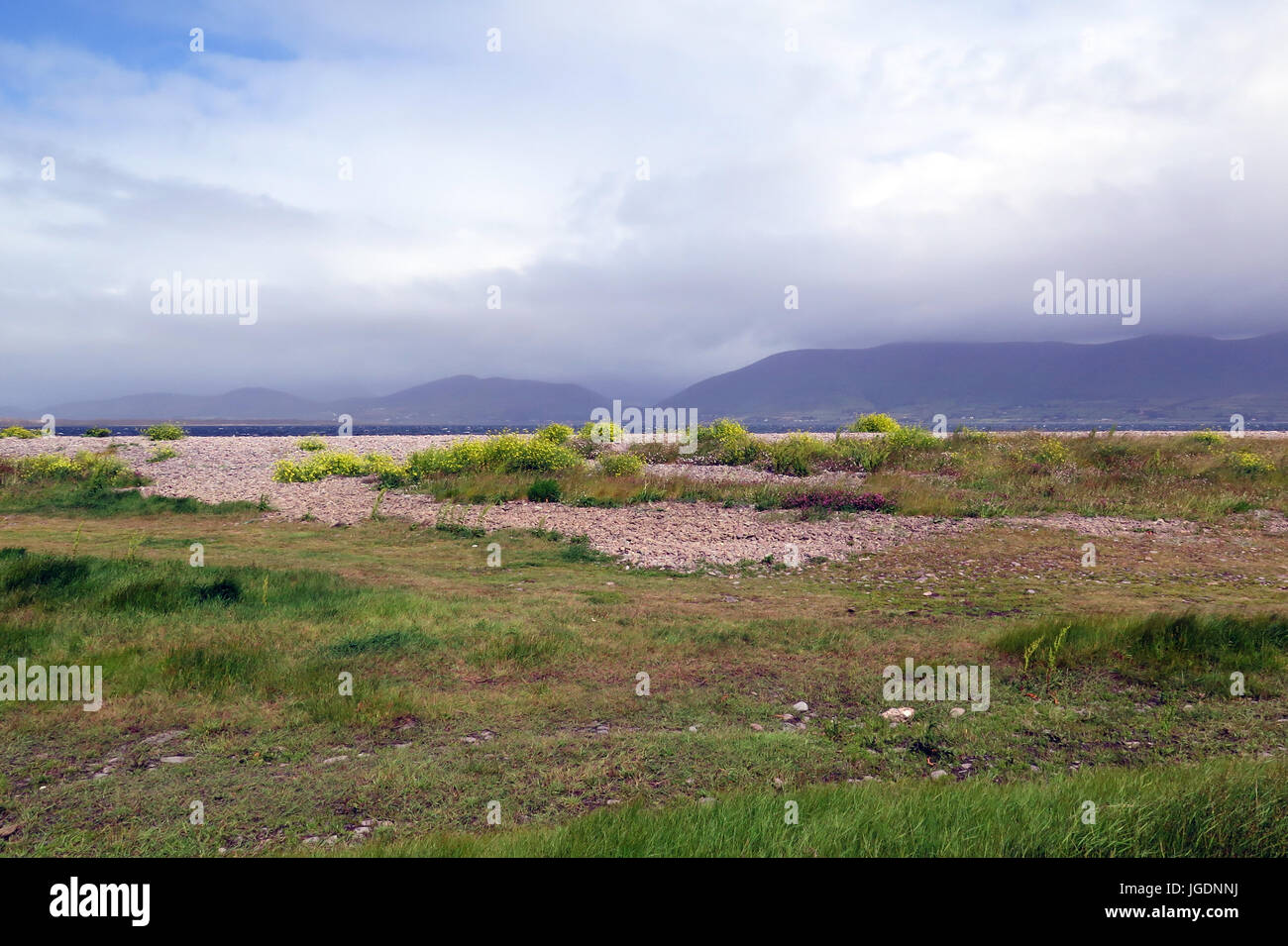Cromane Beach, Irlande Banque D'Images Cromane Beach, Irlande Banque D'Images