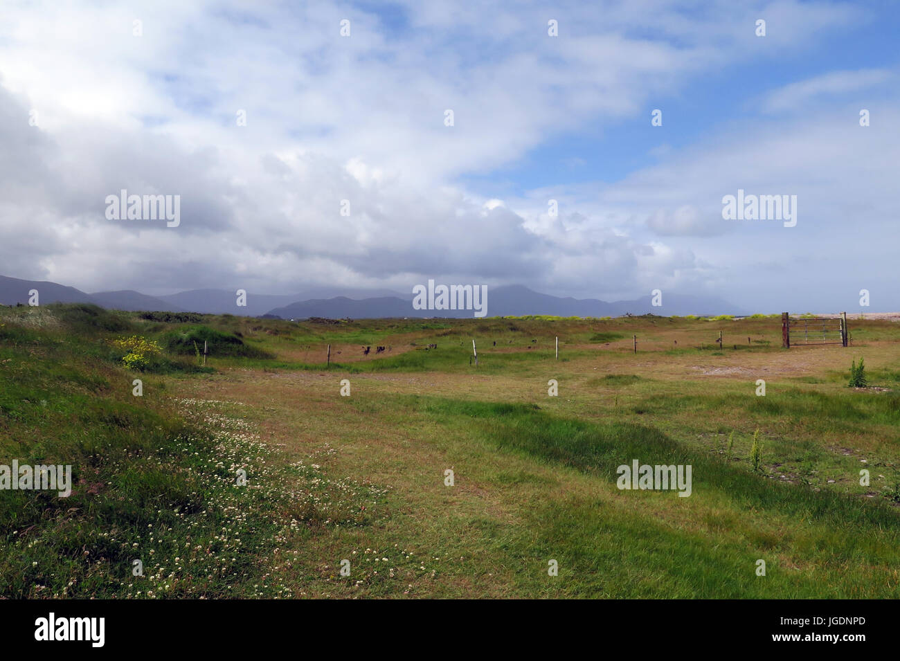 Cromane Beach, Irlande Banque D'Images Cromane Beach, Irlande Banque D'Images