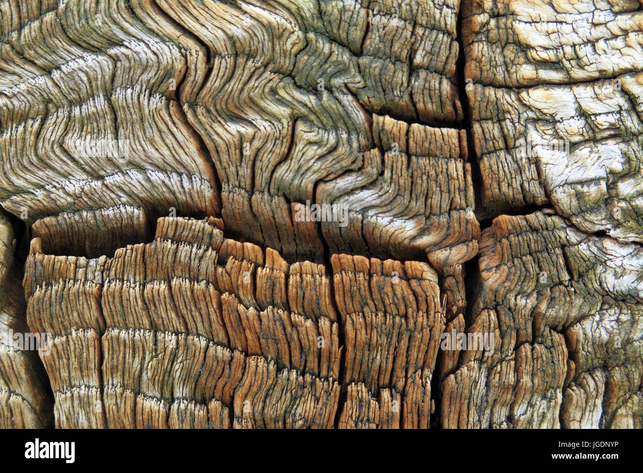 Cromane Beach, Irlande Banque D'Images Cromane Beach, Irlande Banque D'Images