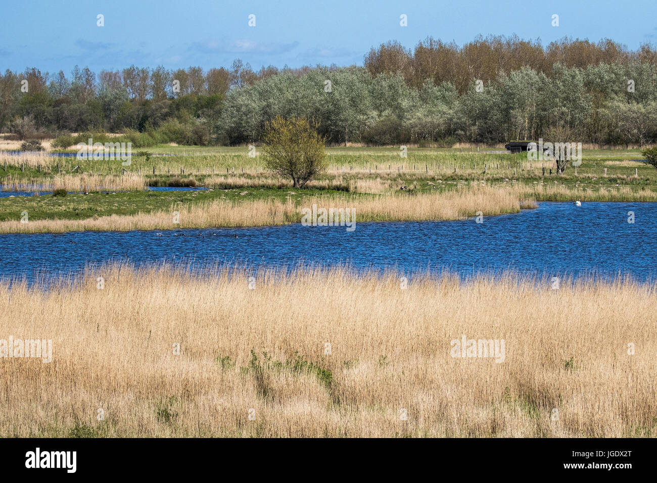 Paysages des watt Katinger, Schleswig - Holstein, Katinger Watt Landschaft im, Schleswig-Holstein Banque D'Images