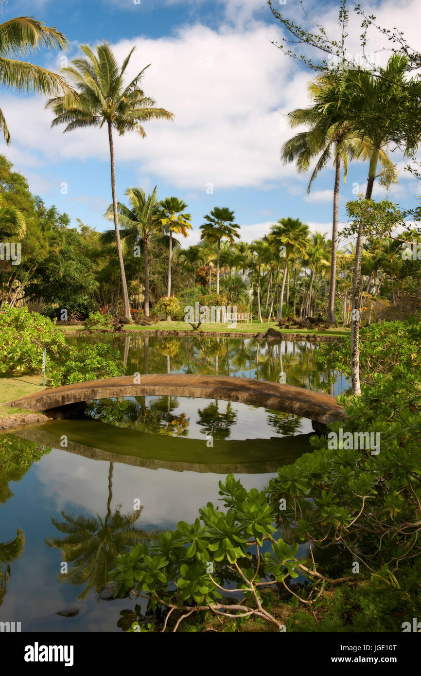 Matin calme dans le Jardin Botanique Na Aina Kai sur l'île de Kauai. Banque D'Images