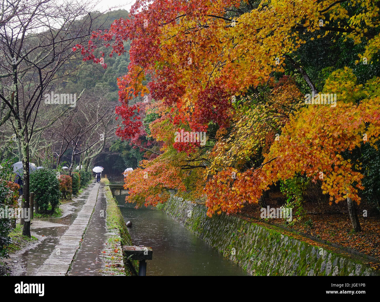 Les gens qui marchent sur la promenade du philosophe à jour de pluie à Kyoto, au Japon. Banque D'Images