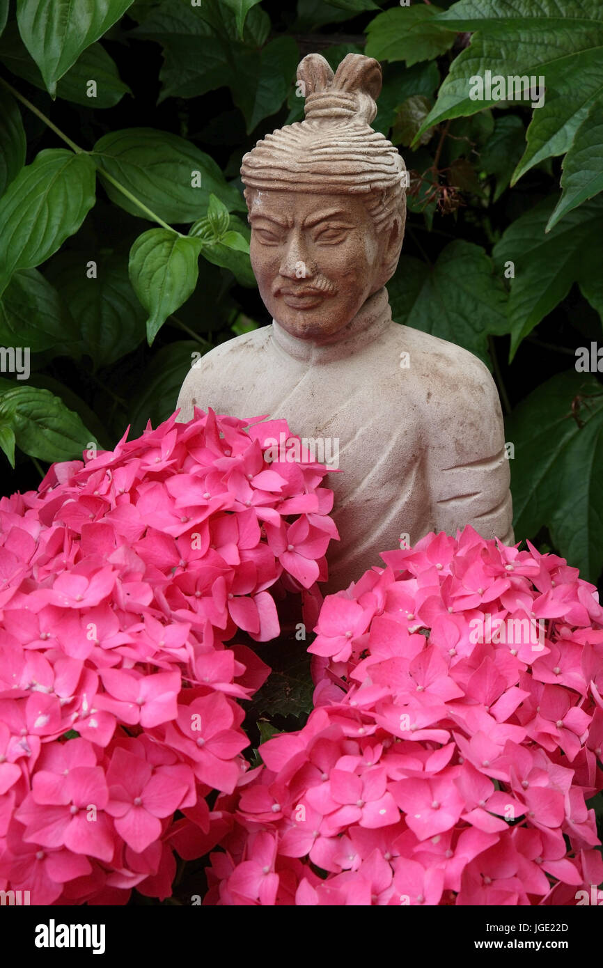 Soldat en terre cuite et d'hortensias, Terrakottasoldat Hortensien und Banque D'Images