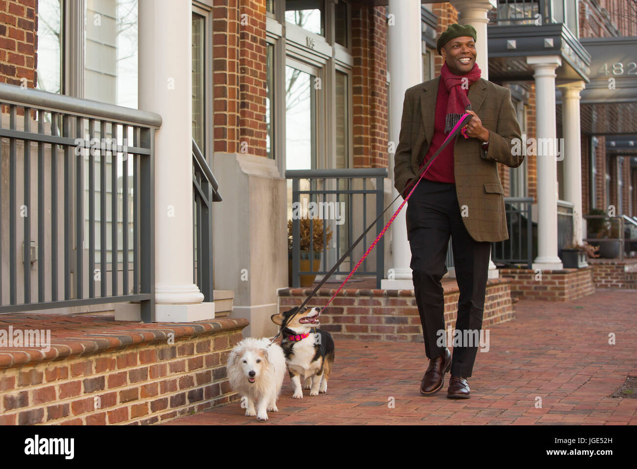 African American man walking dogs sur un trottoir de la ville Banque D'Images