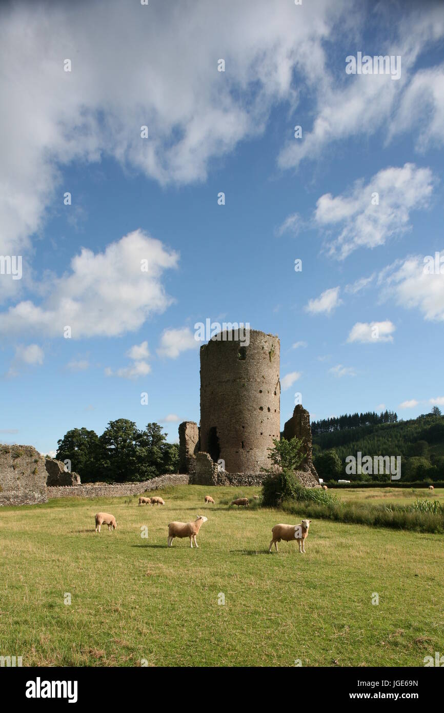 Château Tretower, Powys, Pays de Galles, douzième siècle garder shell avec tour ronde du xiiie siècle Banque D'Images