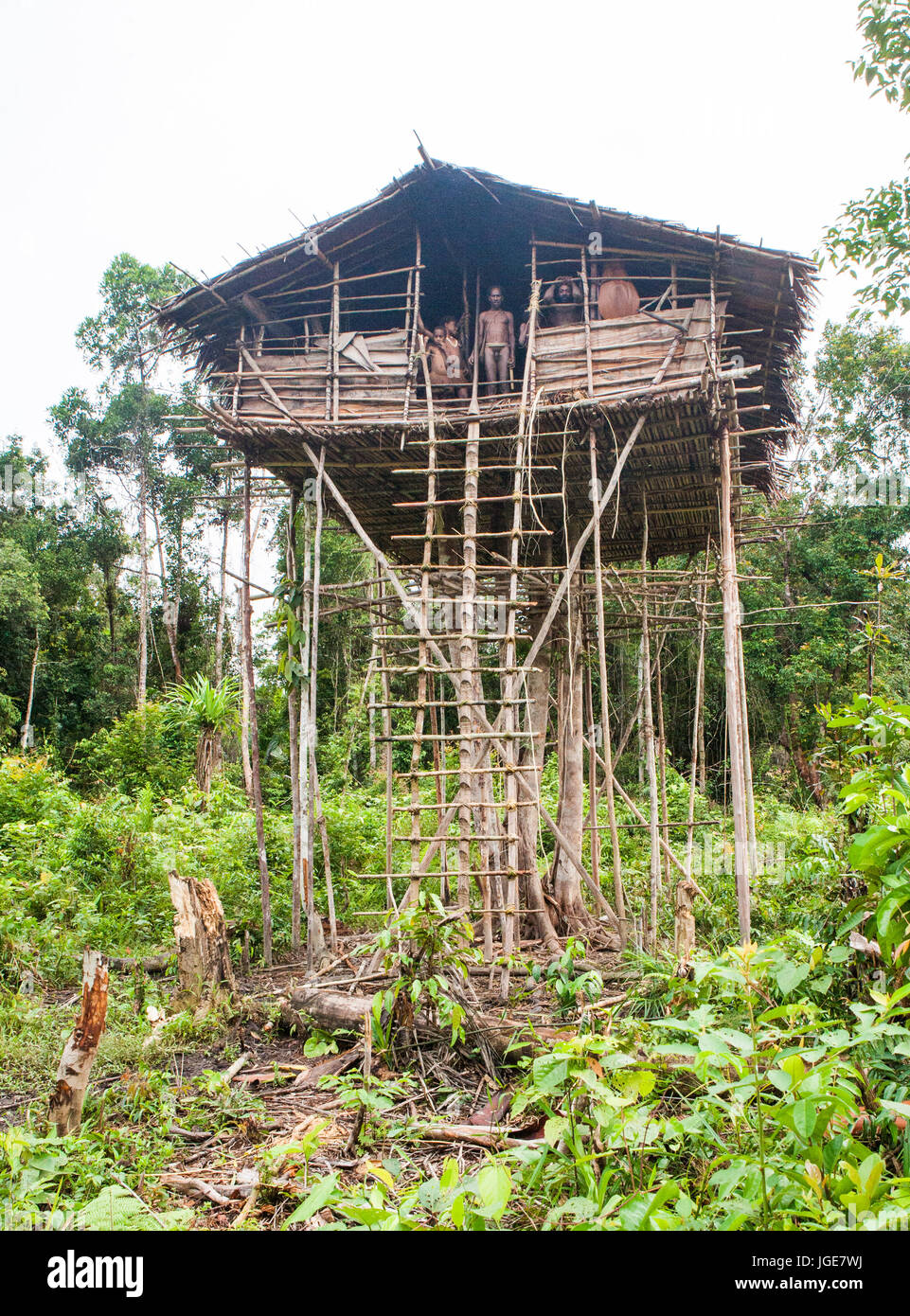 L'INDONÉSIE, JULIEN VILLAGE, GUINÉE - 24 juin : Maison traditionnelle de la tribu Korowai. Tribu de Korowai (Kombai Kolufo ,) Banque D'Images