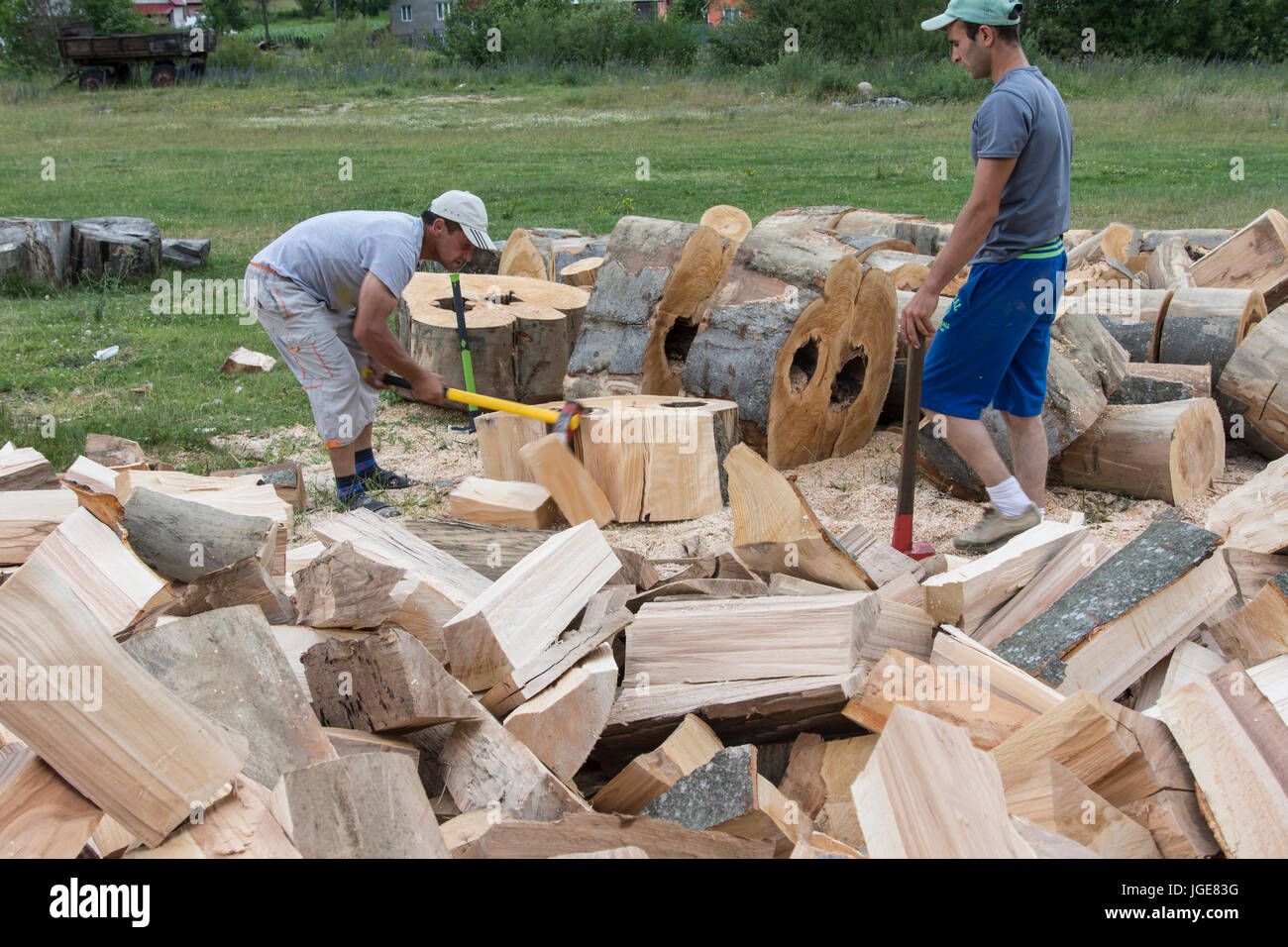 Deux jeunes hommes de fendre du bois dans la région de Maramures, Roumanie Banque D'Images