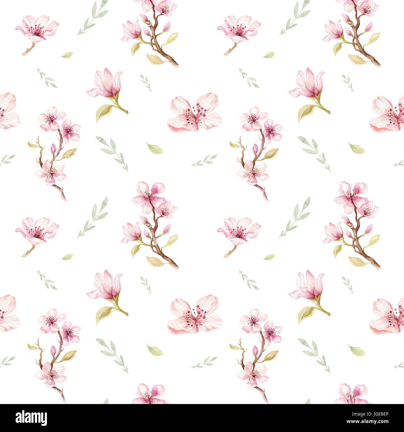 Fond Décran Transparent Avec Aquarelle Fleurs De Cerisier