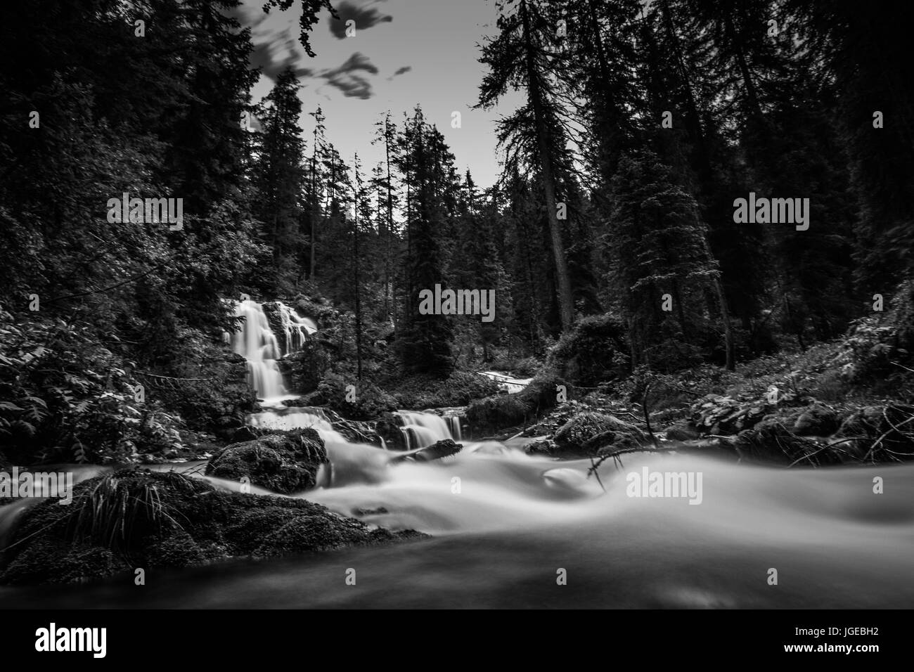 Cascades dans le Trentin, Italia Banque D'Images