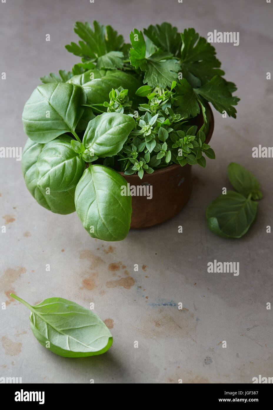 Variété de fines herbes dans un bol Banque D'Images