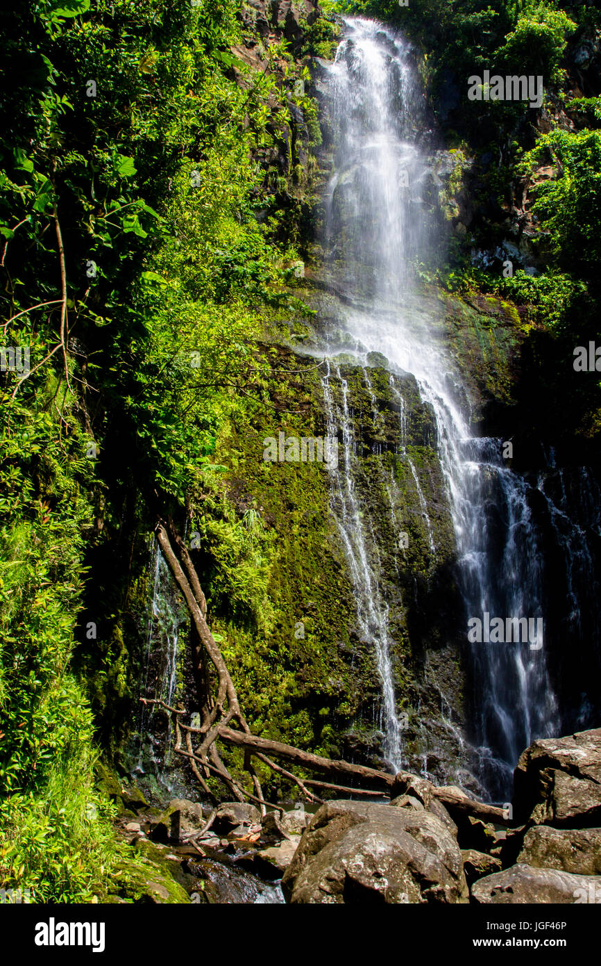 Chute près de Hana sur Maui, Hawaii, USA. Banque D'Images