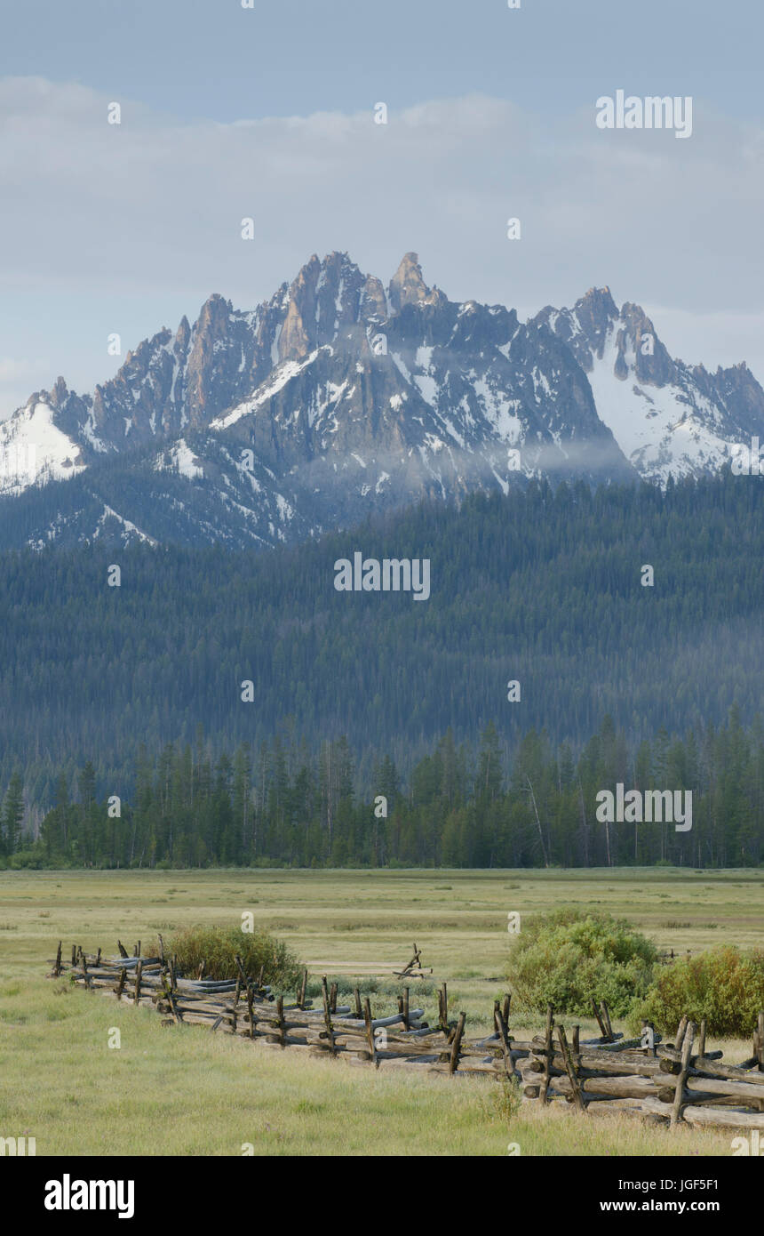 Dans le bassin de Stanley Celebrations Sawtooth National Recreation Area, Idaho Banque D'Images