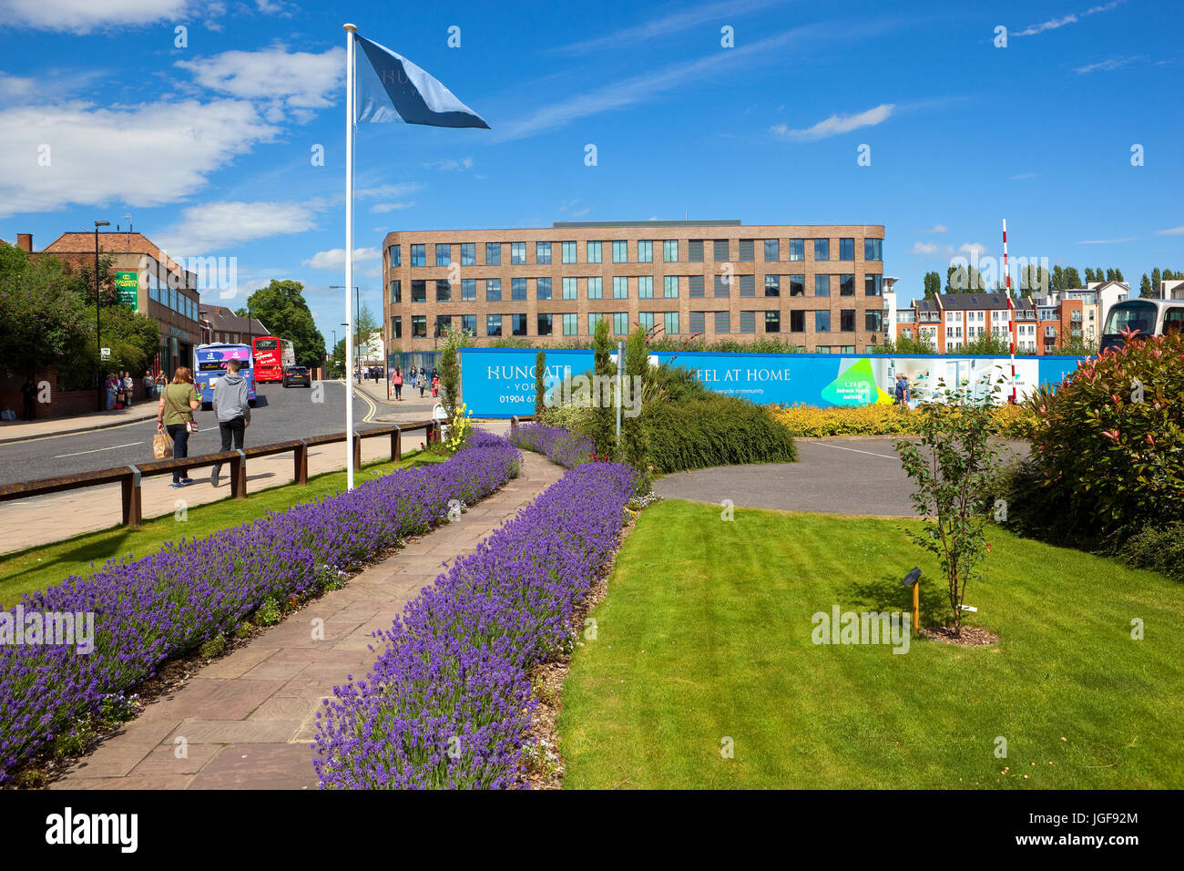 Chemins bordés de lavande sur un nouveau développement d'habitations de la ville de York sous un ciel d'été bleu Banque D'Images