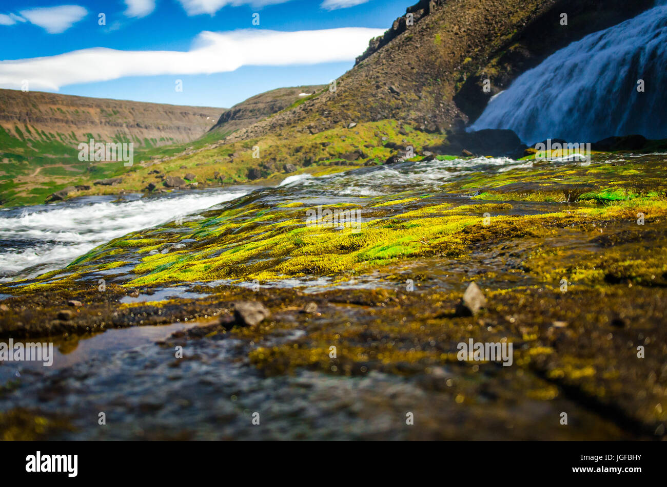 La nature verte d'une chute Banque D'Images