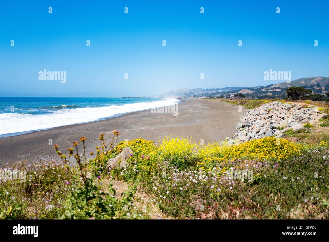 Plage avec le fracas des vagues et des fleurs sauvages à Mori Point, la partie de la Golden Gate National Recreation Area, à Pacifica, Californie, le 20 juin 2017. Banque D'Images