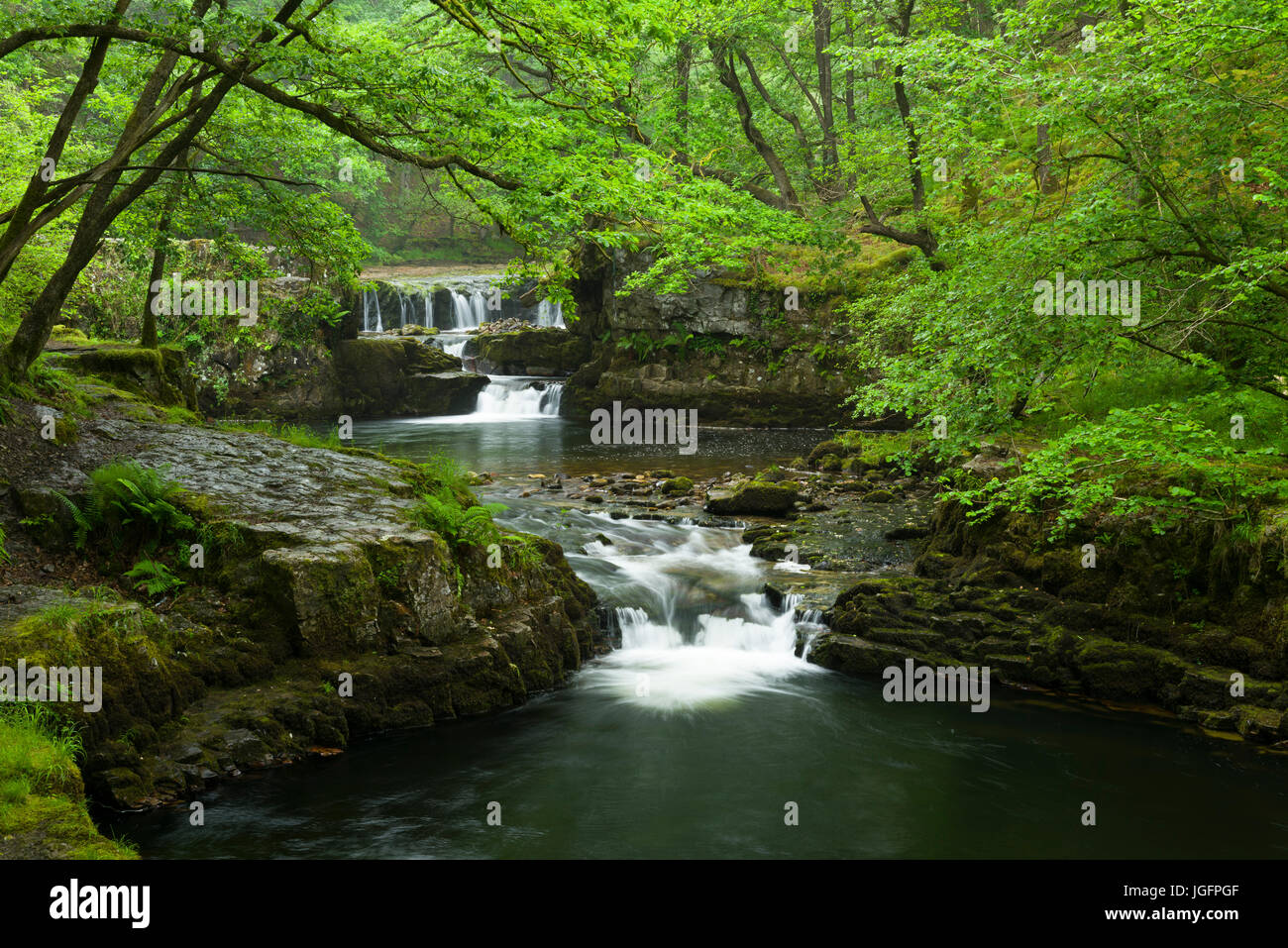 Chutes d'eau Sgwd y Bedol (Horseshoe Falls) sur le Nedd Fechan dans le parc national de Bannau Brycheiniog (anciennement Brecon Beacons) près de Pontneddfechan, Powys, pays de Galles. Banque D'Images