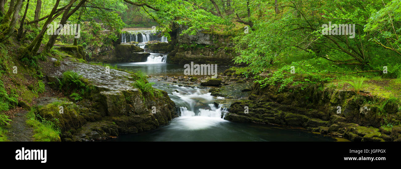 Chutes d'eau Sgwd y Bedol (Horseshoe Falls) sur le Nedd Fechan dans le parc national de Bannau Brycheiniog (anciennement Brecon Beacons) près de Pontneddfechan, Powys, pays de Galles. Banque D'Images
